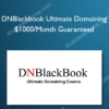 DNBlackbook Ultimate Domaining - $1000/Month Guaranteed