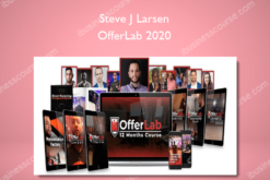 Steve J Larsen - OfferLab 2020