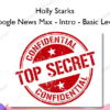 Holly Starks %E2%80%93 Google News Max %E2%80%93 Intro %E2%80%93 Basic Level