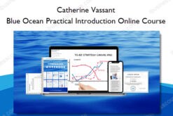 Blue Ocean Practical Introduction Online Course - Catherine Vassant