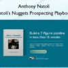 Natoli's Nuggets Prospecting Playbook – Anthony Natoli