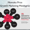 Growth Marketing Minidegree