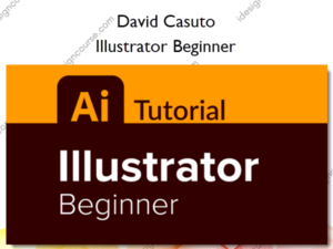 Illustrator Beginner