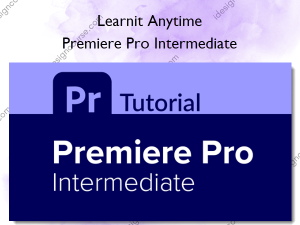Premiere Pro Intermediate