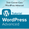 WordPress Advanced