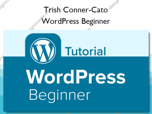 WordPress Beginner
