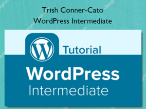 WordPress Intermediate