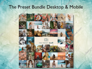 The Preset Bundle Desktop & Mobile