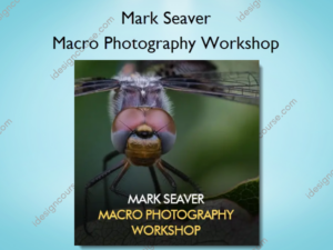 Macro Photography Workshop