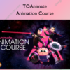 Animation Course