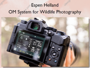 OM System for Wildlife Photography