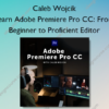 Learn Adobe Premiere Pro CC: From Beginner to Proficient Editor