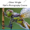 Macro Photography Course