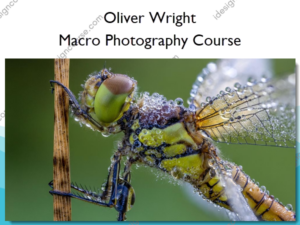 Macro Photography Course