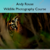 Wildlife Photography Course