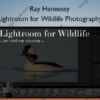 Lightroom for Wildlife Photography