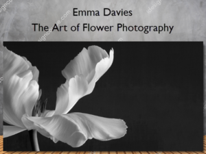 The Art of Flower Photography